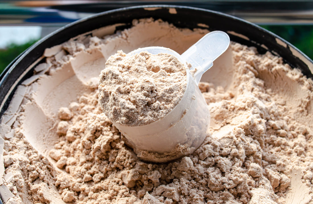 How Whey Protein Is Made