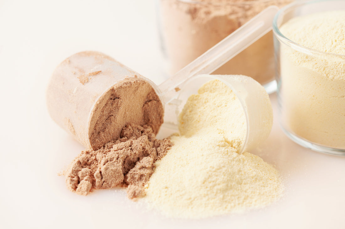 Benefits of Whey Protein for Men and Woman | VARG Muscle