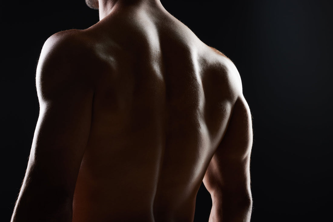 Everything You Need to Know About Whey Protein